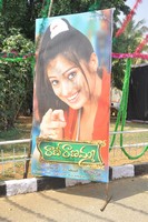 Rani Ranamma Movie Opening
